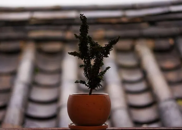Unwadang Private Luxury Hanok House In Bukchon Villa *
